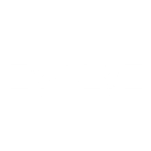 Evolve Strategy and Performance